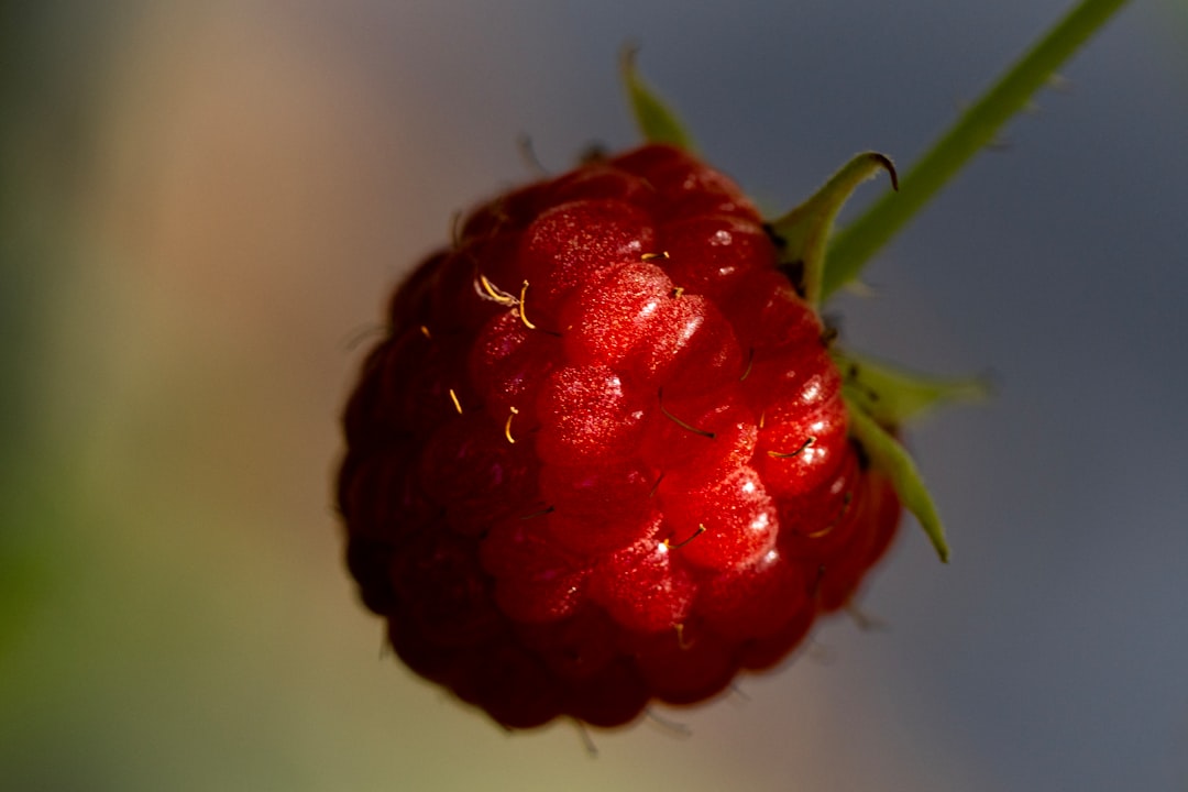 Dieta antyoksydacyjna – wskazówki i porady